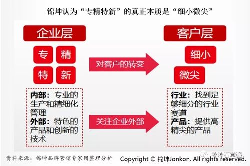 連鎖與互聯(lián)網(wǎng)品牌營(yíng)銷專家 互聯(lián)網(wǎng)銷售的未來之路